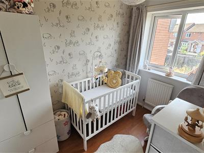 Picture 21
